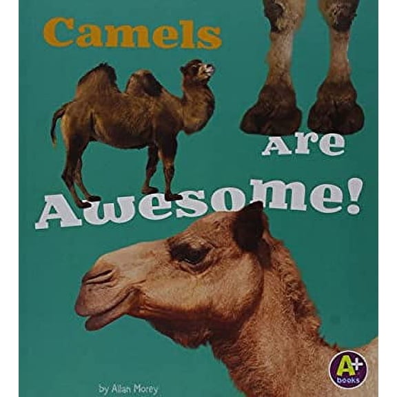 Pre-Owned Camels Are Awesome! (Library Binding) 9781491439043