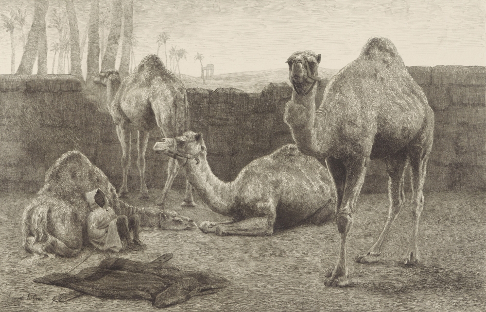 Camels Canvas Art - (24 x 18)