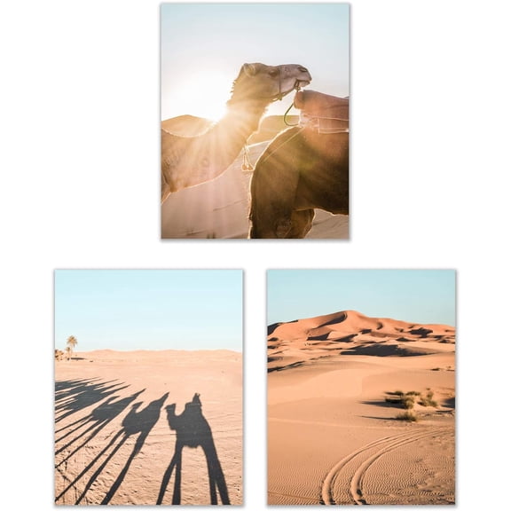Camels Canvas Wall Art Prints - Set of 3 (8x10 inch) Glossy Wall Art Decor Bohemian Desert Photography Unframed