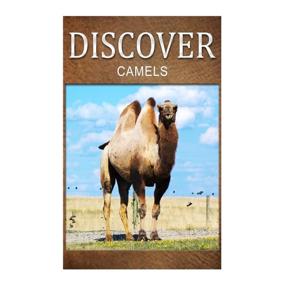 Camels - Discover: Early reader's wildlife photography book (Paperback)