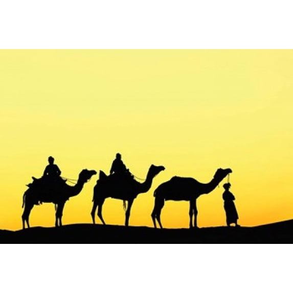 Camels and driver at sunset, Thar Desert, Jodhpur, India Poster Print by Adam Jones (35 x 23)
