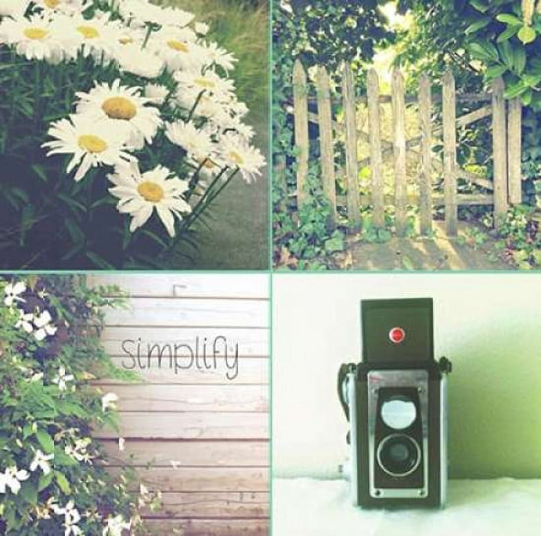 Camera And Daisies SIMPLIFY Canvas Art - Vicki Dvorak (24 x 24)