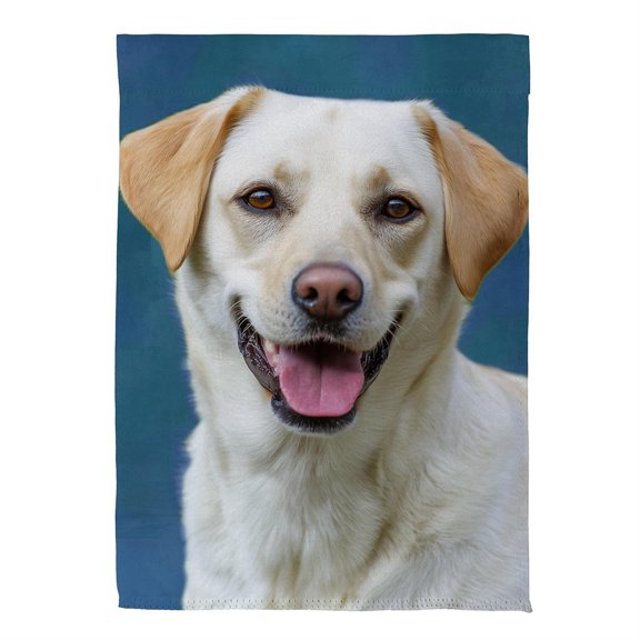Camera Day Dogs, Labrador Retriever Suede House Flag