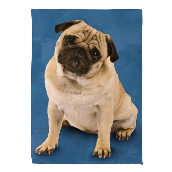Camera Day Dogs, Pug Suede House Flag