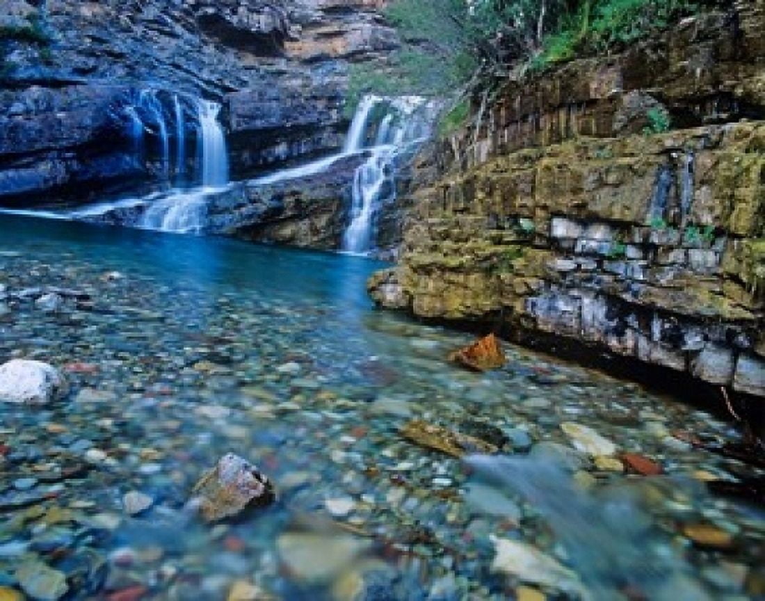 Cameron Falls Waterton Lakes NP Alberta Canada Canvas Art - Chuck Haney DanitaDelimont (20 x 16)