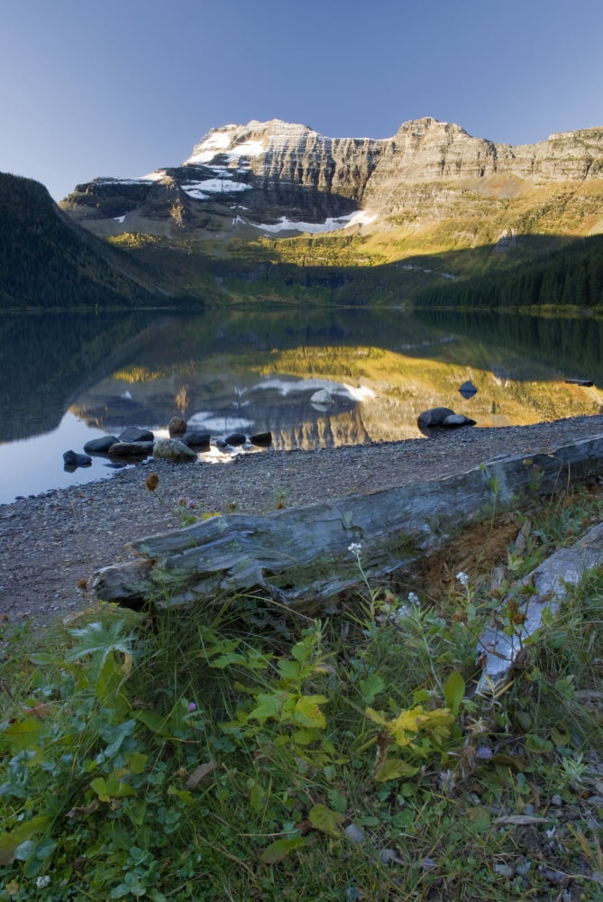 Cameron Lake Alberta Canada Canvas Art - Philippe Widling Design Pics (11 x 17)