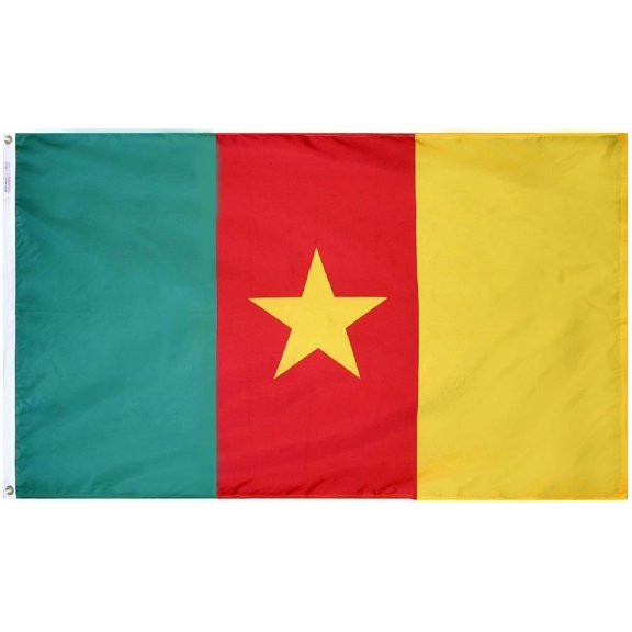 Cameroon - 2'X3' Nylon Flag