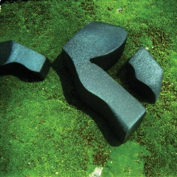 Camila Fuchs - Heart Pressed Between Stones - Music & Performance - CD