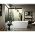 thumbnail image 1 of Camille 67 Inch Freestanding Double Ended Tub, 1 of 2