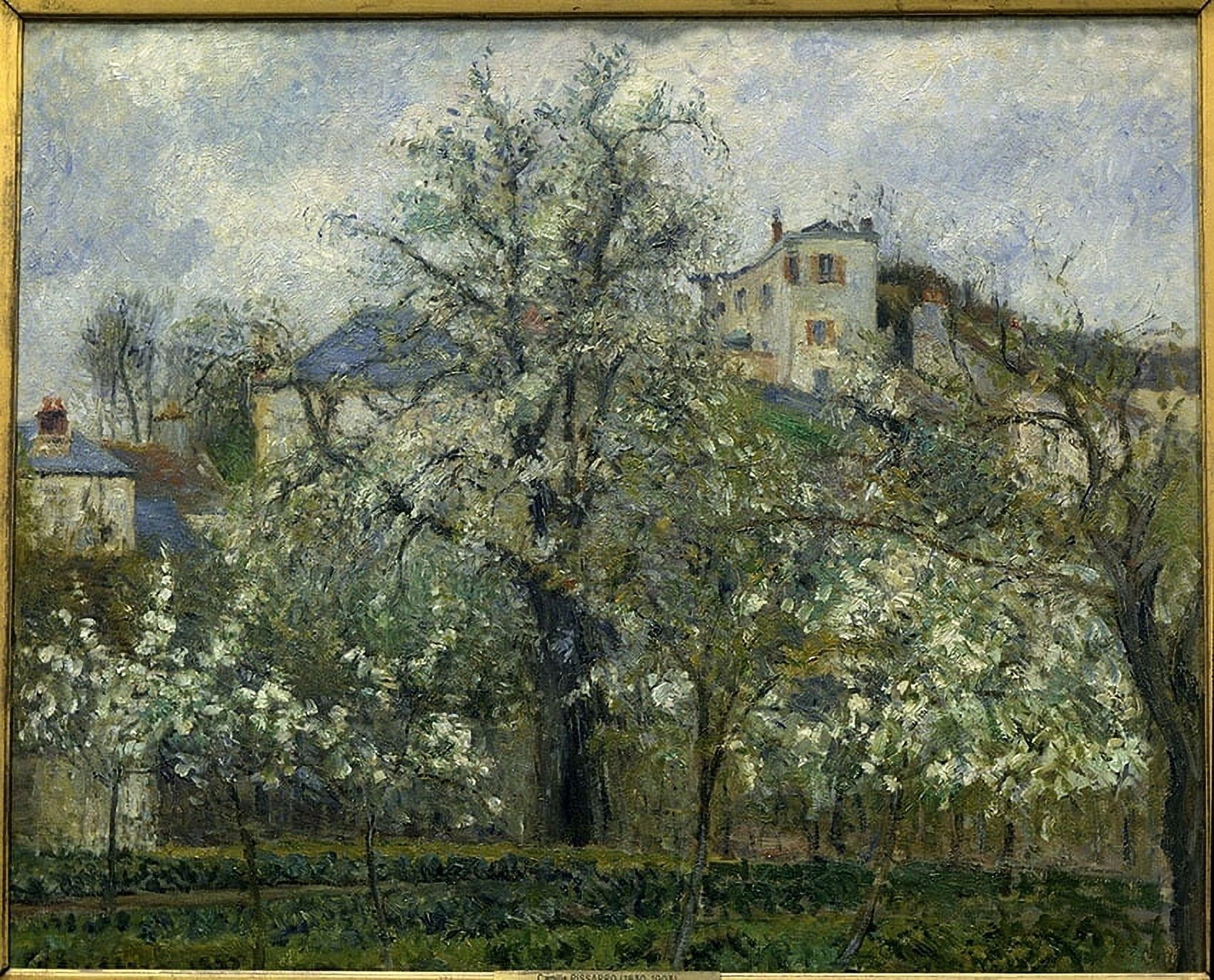 Camille Pissarro (1830-1903) French School Canvas Art - (36 x 24)