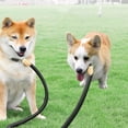 thumbnail image 1 of Camnix Double Dog Leash, Tandem Leash For Two Dogs, No Swivel Rotation Dual Strong Dog Leash Splitter, For Small Dogs, 1 of 8