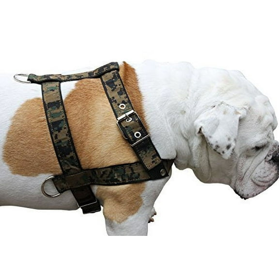 Camouflage Dog Training Walking Dog Harness 3 Sizes Nylon (Chest Girth: 21"-24"; 3/4" Wide)