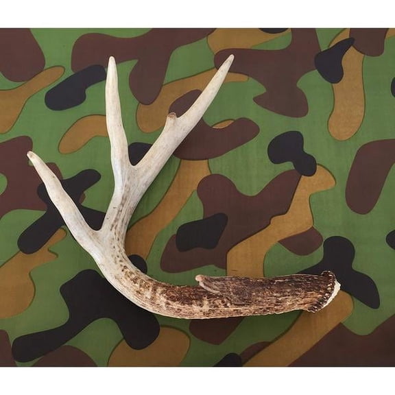 Camouflage Printed Tissue Paper for Gift Wrapping, 12 Sheets (43F0960)