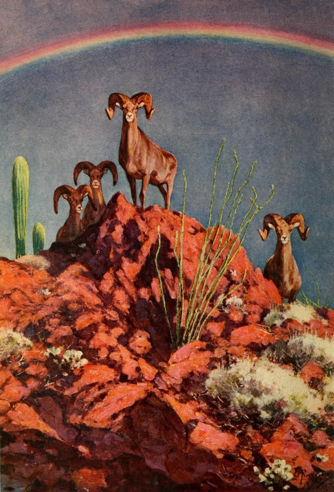 Camp-Fires on Desert & Lava 1908 Canvas Art - Carl Rungius (24 x 36)