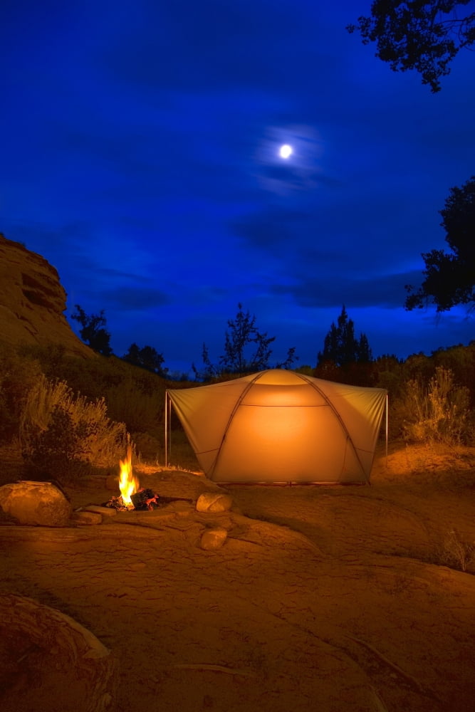 Camp Site At Night Utah Usa Canvas Art - Corey Hochachka Design Pics (11 x 17)