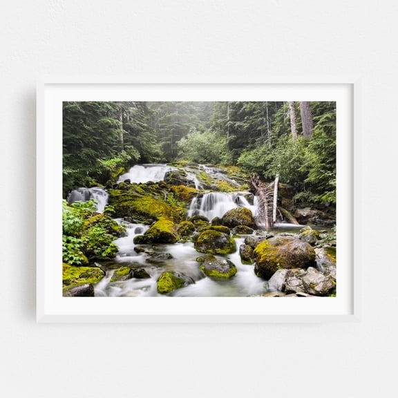 Camp at Carbon River - Photography Waterfall Forest Nature Scenic Wilderness Woodland Landscape White Framed Wall Art Print 24 x 36 inches