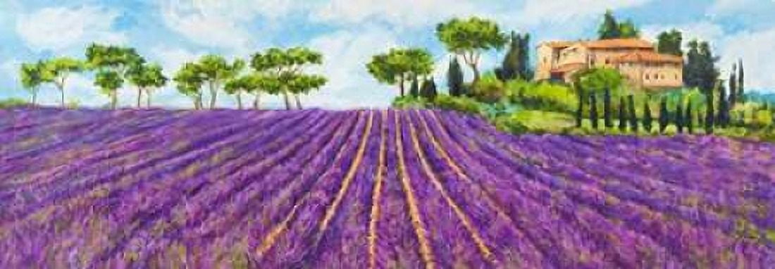 Campagna provenzale Canvas Art - Massimo Germani (10 x 20)