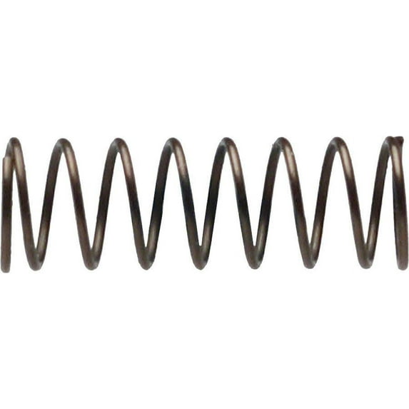 Campagnolo Freehub Cassette Pawl Spring