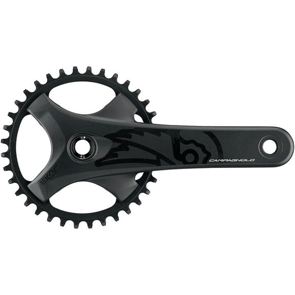 Campagnolo EKAR GT Crankset - 170mm, 13-Speed, 36t, 123mm BCD, Campagnolo Ultra-Torque Spindle Interface, Black