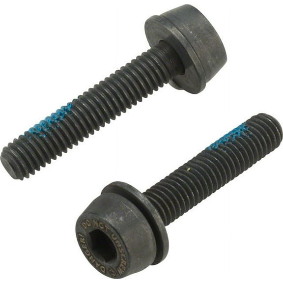 Campagnolo H11 Disc Caliper Mounting Screws 2x24mm for 15-19mm Rear