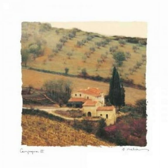Campanga III Poster Print by Amy Melious (24 x 24)