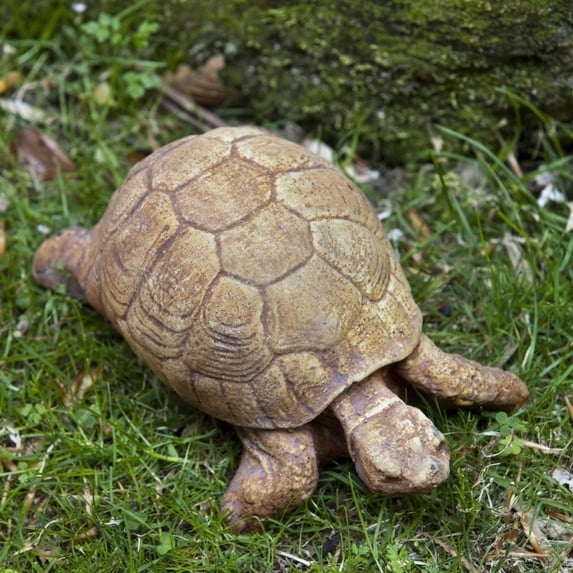 Campania International Turtle Cast Stone Garden Statue