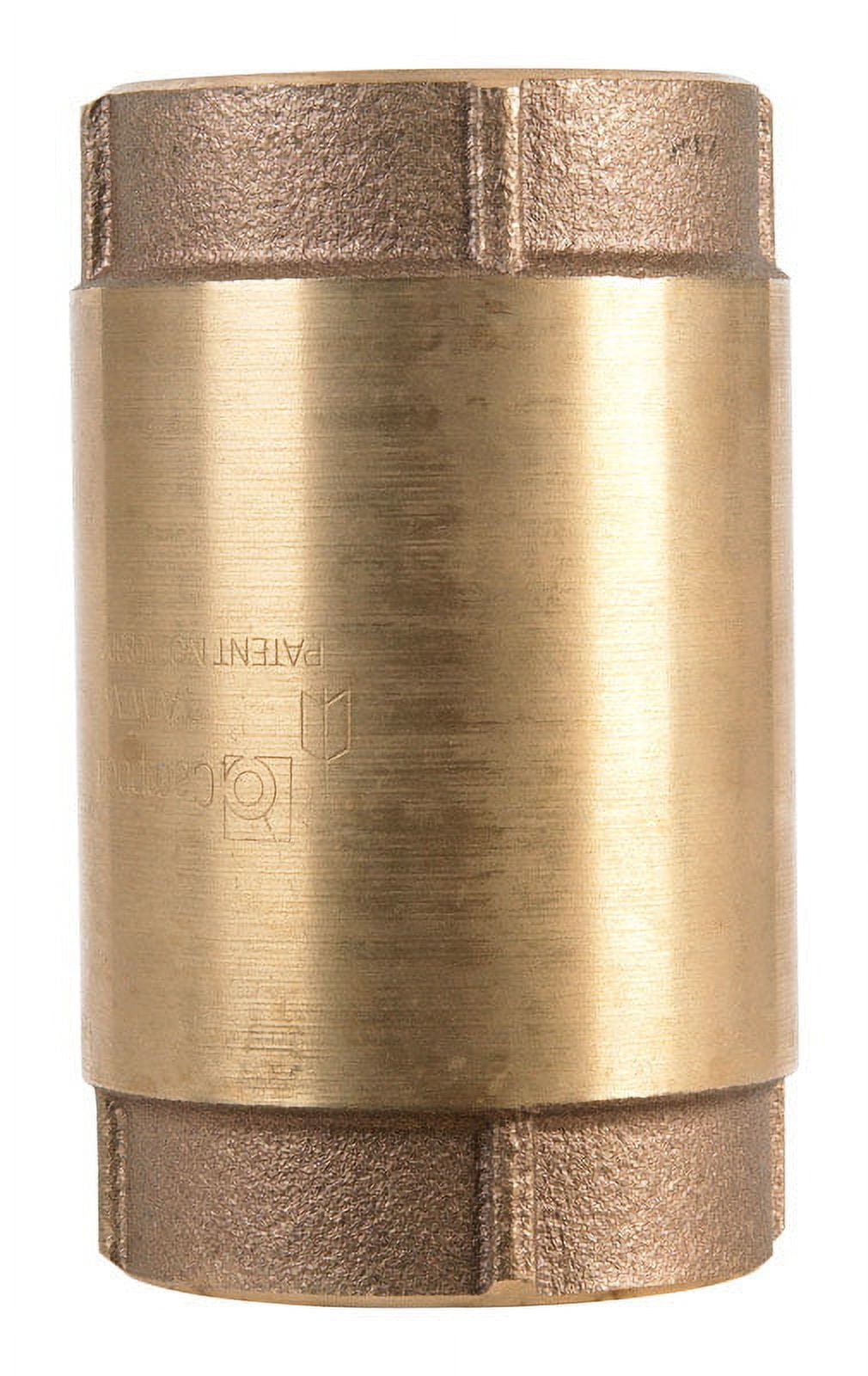 Campbell 2 in. D FNPT x FNPT Red Brass Spring Loaded Check Valve ...