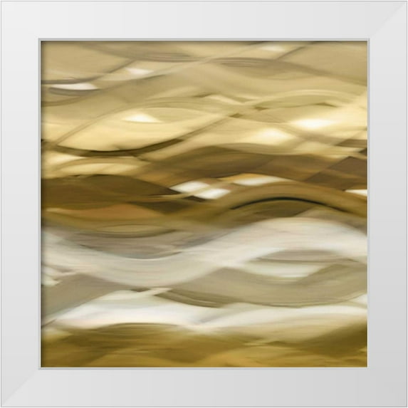 Campbell, Annie 15x15 White Modern Wood Framed Museum Art Print Titled - Splendid II