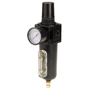 1/2 in. NPT Combo Filter/Regulator