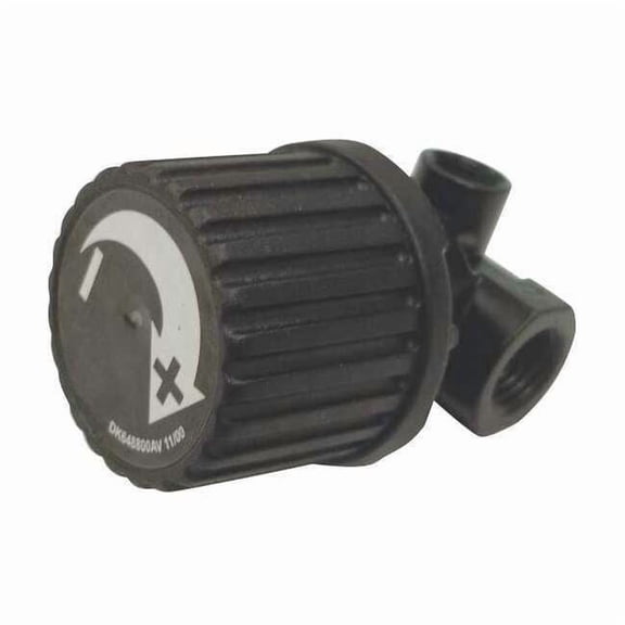 Campbell Hausfeld Regulator RE206203AV