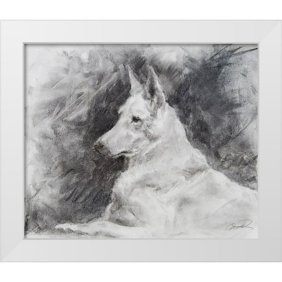 Campbell, Robert 23x20 White Modern Wood Framed Museum Art Print Titled - White Shepherd in Grey