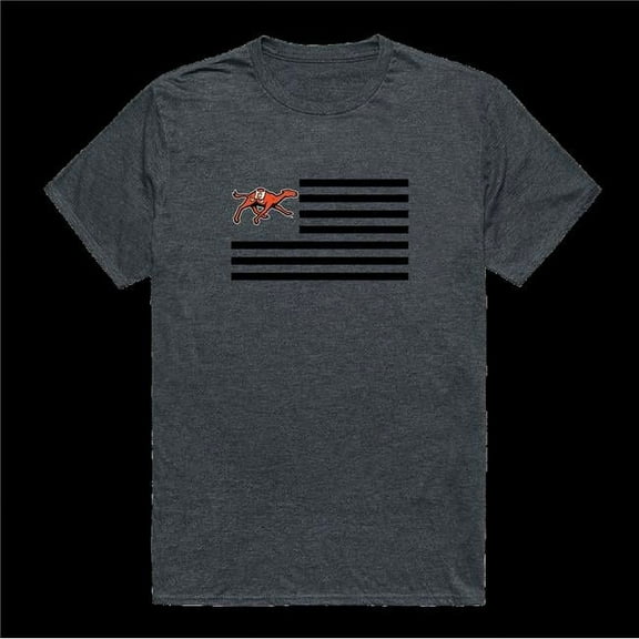 Campbell University Fighting Camels Flag T-Shirt, Heather Charcoal - 2XL