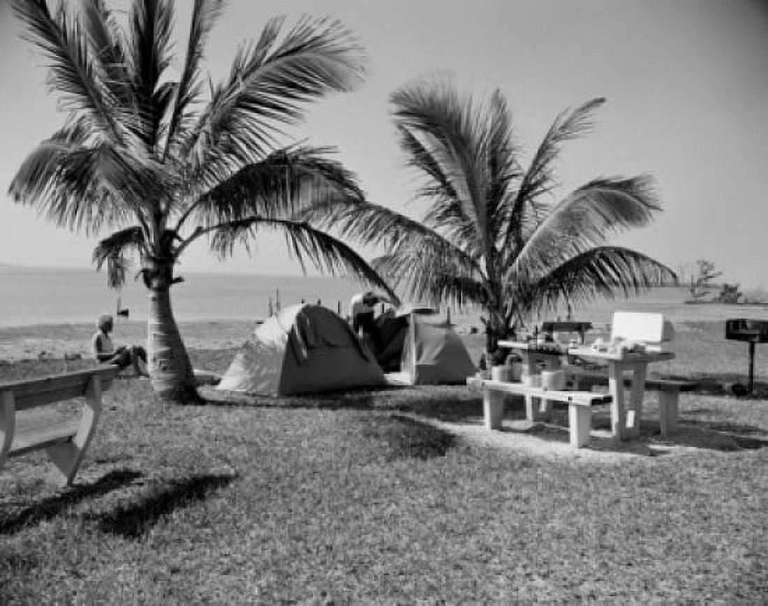 Campers relaxing on beach with palm trees Canvas Art - (18 x 24)
