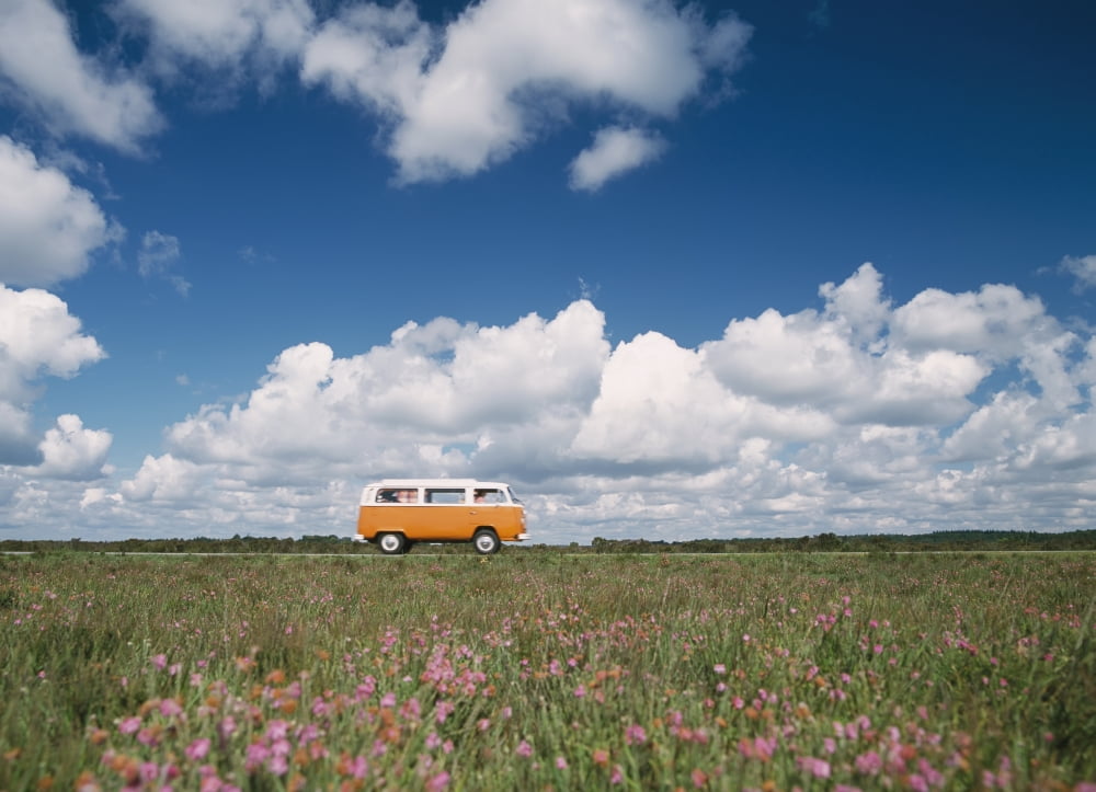 Campervan Going Down Road In Front Of Heather In Flower Canvas Art - Ian Cumming Design Pics (18 x 13)