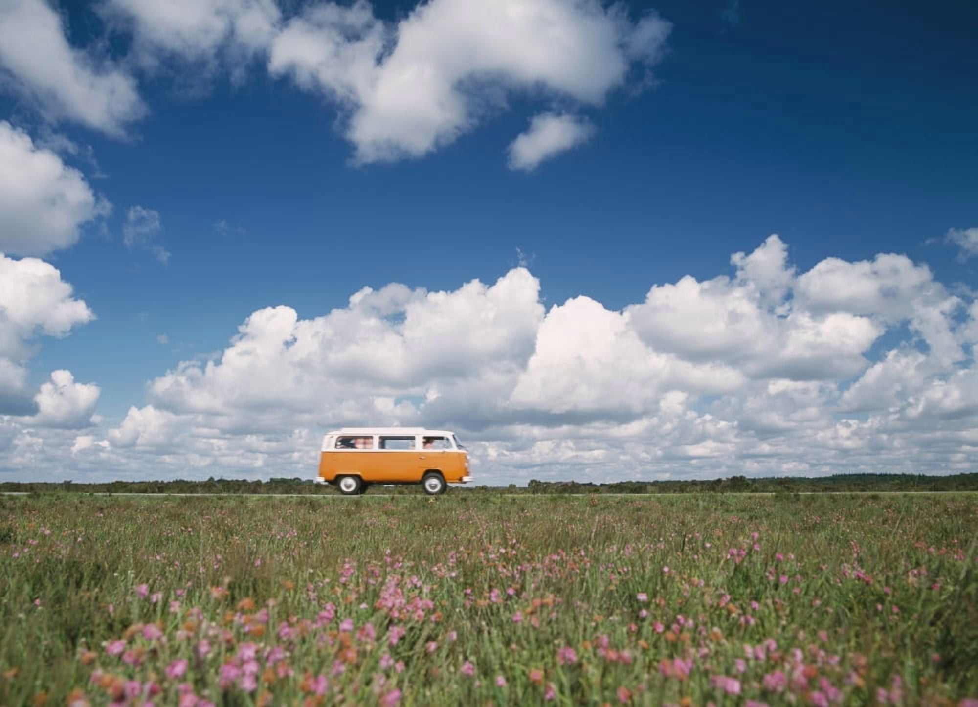 Campervan Going Down Road In Front Of Heather In Flower Canvas Art - Ian Cumming Design Pics (36 x 26)