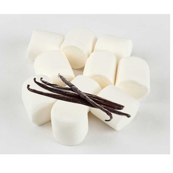 Campfire Large Natural Vanilla Marshmallow, 1 Pound -- 12 per case.