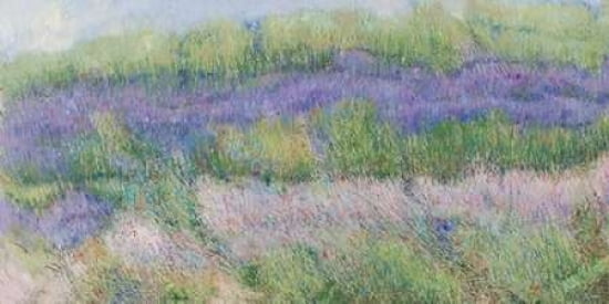 Campi di lavanda I Canvas Art - Murenoir (24 x 48)