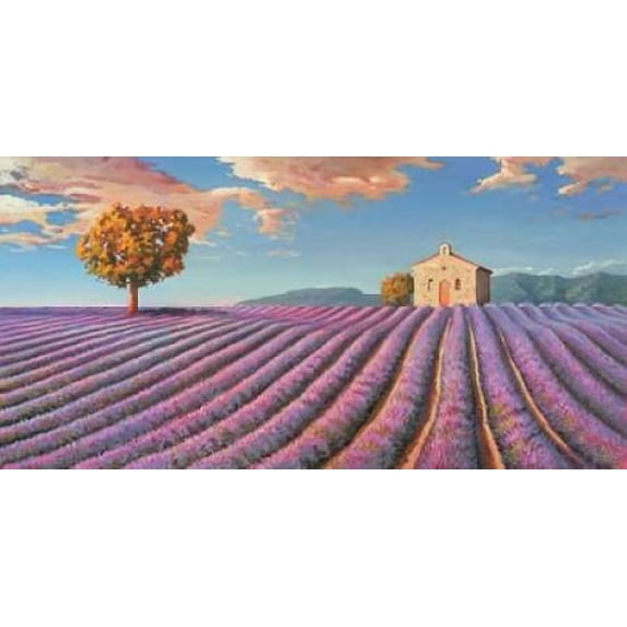 Campi di lavanda Poster Print by Adriano Galasso (24 x 48)