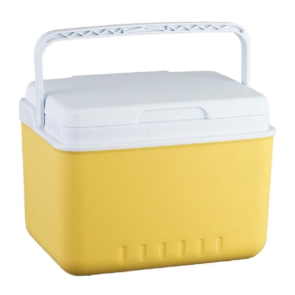 Camping Coolers Ice Box 6L Insulated Ice Chest Portable Ice Bucket Outdoor Hard Coolers for Camping Beach Picnics