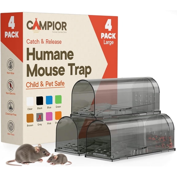 Campior Humane Mouse Trap Pack of 4, Live Catch & Release, Indoor/Outdoor, Pet & Child Safe, Reusable Plastic Cage, Gray