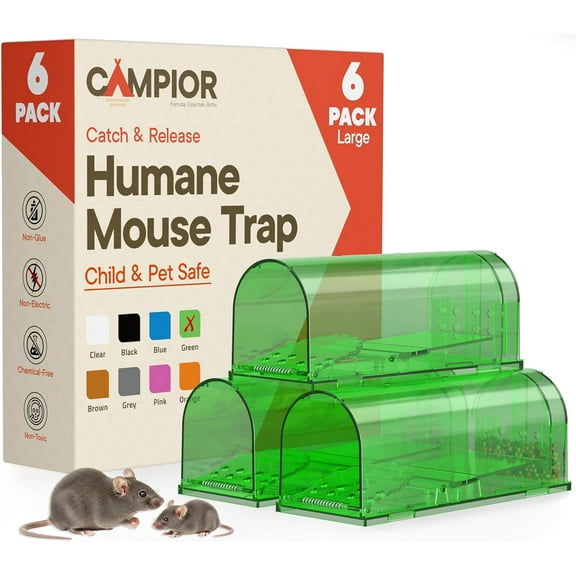 Campior Humane Mouse Trap, Pack of 6, Live Catch & Release for Indoors & Outdoors, Plastic Mouse Cage with Spring Door & Cleaning Brush, Green