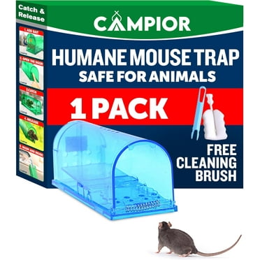 Campior Humane No-Kill Mouse Trap, Large, Indoor, Child & Pet Safe, Easy to Clean, 1-Pack, Blue