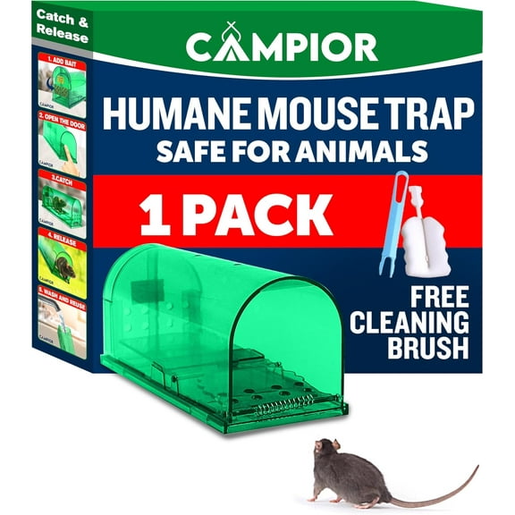 Campior Humane No-Kill Mouse Trap, Large, Indoor, Child & Pet Safe, Easy to Clean, 1-Pack, Green