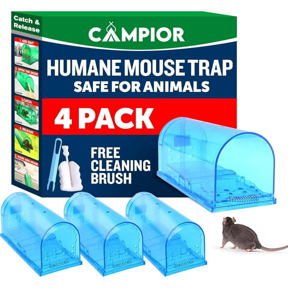 Campior Humane No-Kill Mouse Trap, Large, Indoor, Child & Pet Safe, Easy to Clean, 4-Pack, Blue