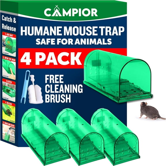 Campior Humane No-Kill Mouse Trap, Large, Indoor, Child & Pet Safe, Easy to Clean, 4-Pack, Green