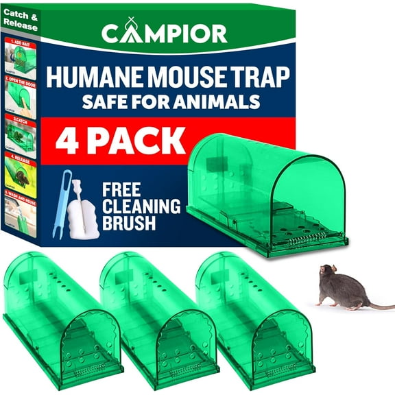 Campior Humane No-Kill Mouse Trap, Large, Indoor, Child & Pet Safe, Easy to Clean, 4-Pack, Green