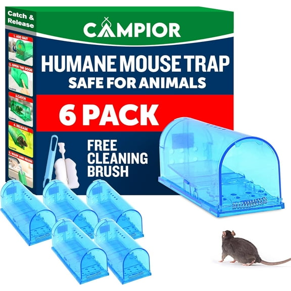Campior Humane No-Kill Mouse Trap, Large, Indoor, Child & Pet Safe, Easy to Clean, 6-Pack, Blue