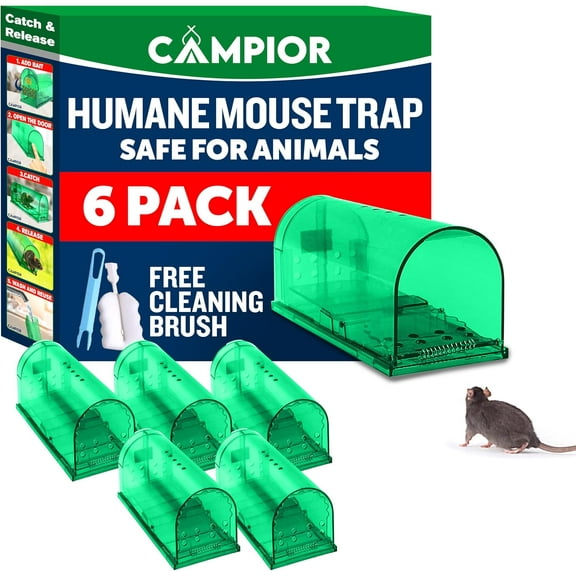 Campior Humane No-Kill Mouse Trap, Large, Indoor, Child & Pet Safe, Easy to Clean, 6-Pack, Green