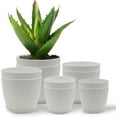 thumbnail image 1 of Campior Plastic Plant Pots with Drainage, Stackable Design for Indoor/Outdoor Use, Pack of 10, White, 1 of 5