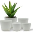 thumbnail image 1 of Campior Plastic Plant Pots with Drainage, Stackable Design for Indoor/Outdoor Use, Pack of 5, White, 1 of 3